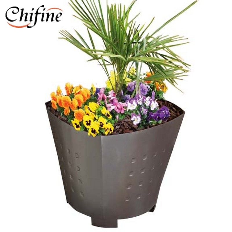 锥花 盆 _5114_conew1.